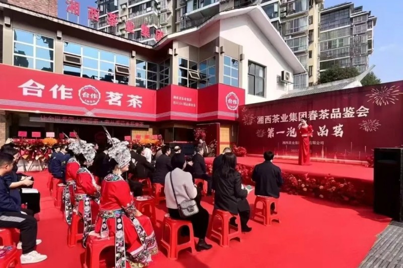 湘西茶業(yè)集團“湘西第一杯春茶”品鑒會暨集團合作茗茶吉首店開業(yè)儀式隆重舉行